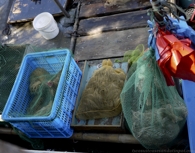 Quails, chickens, ducks and pigeons are often squashed into nylon mesh bags and left in the sun without food and water.