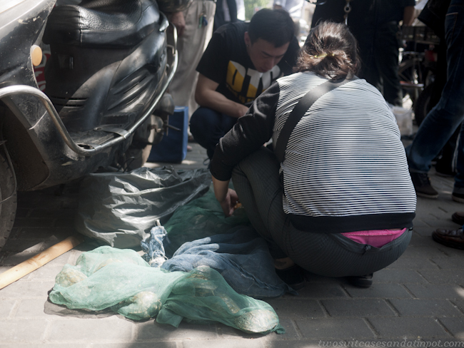 A woman sells turtles out of nylon mesh bags on Xizang Lu, Shanghai. 